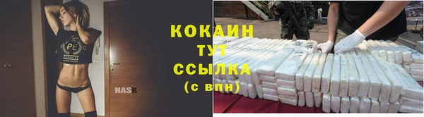 прущие грибы Белоозёрский