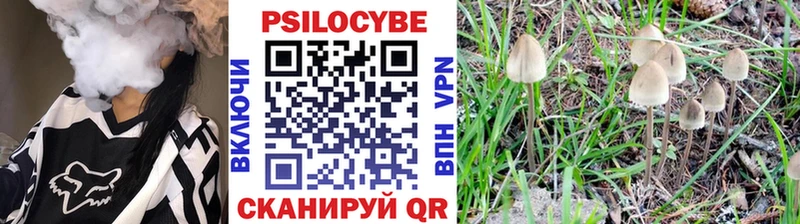 KRAKEN как войти  Буинск  Галлюциногенные грибы прущие грибы 